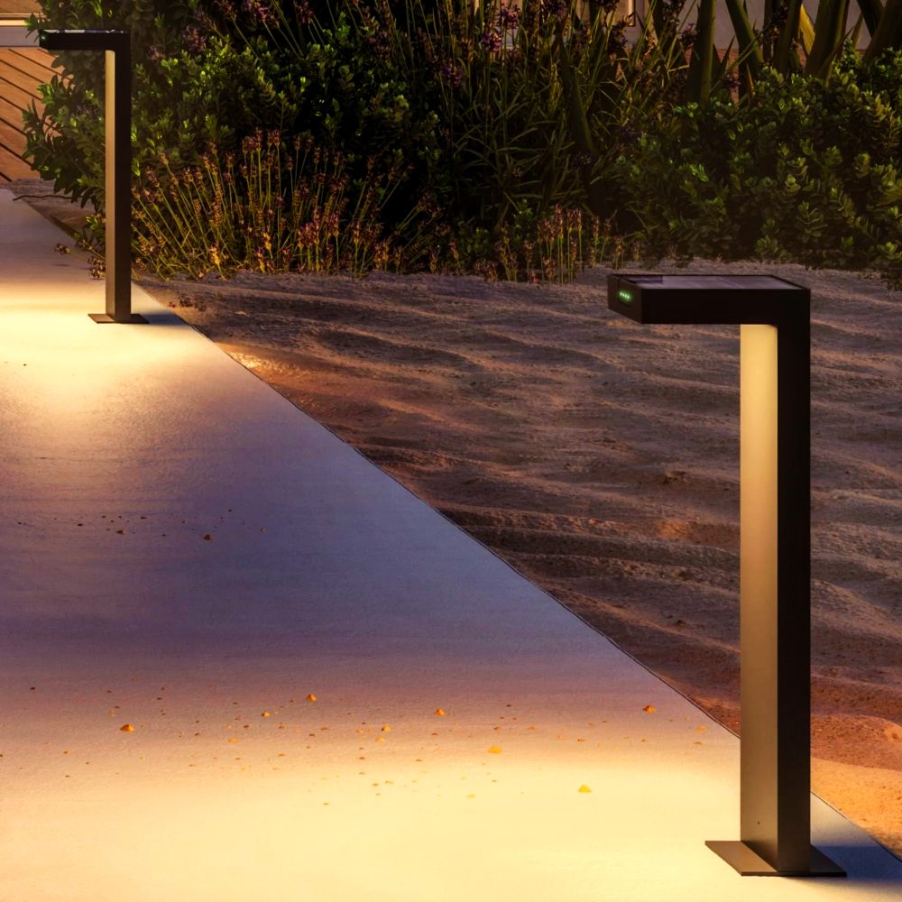 Klewe x Zafferano - Ala Maxi