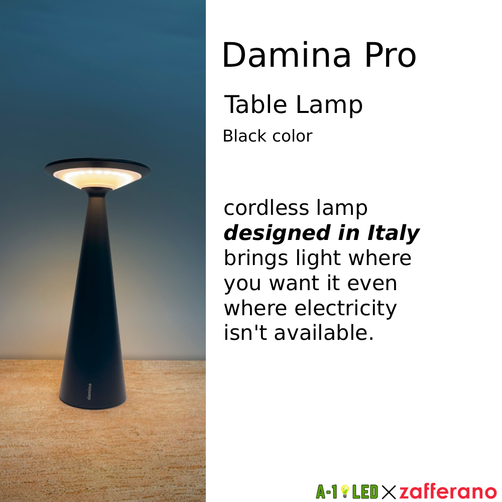Damina Pro