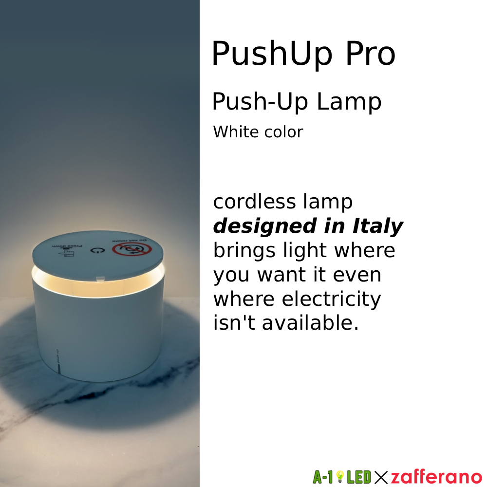 PushUp Pro